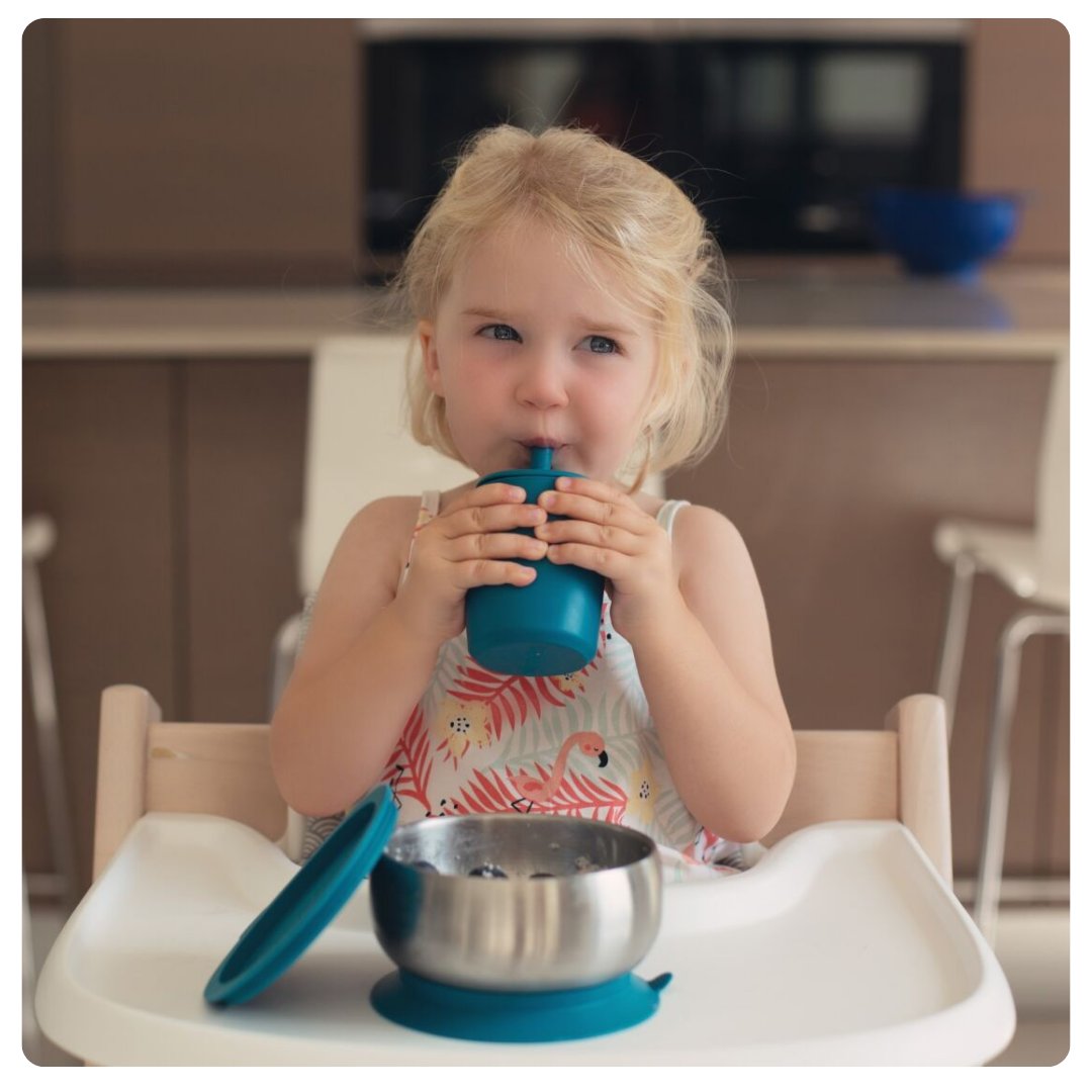 Tableware Accessories