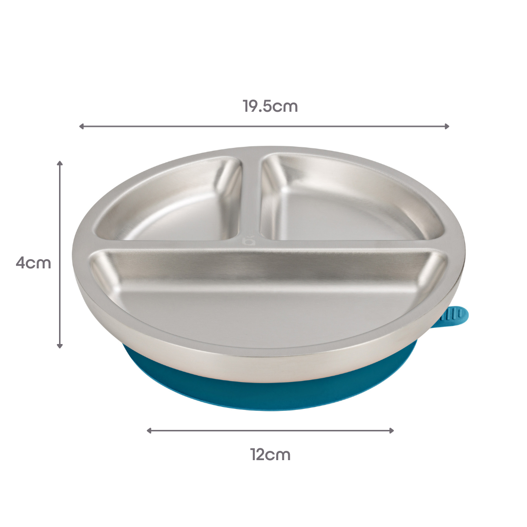 The Divider - 18/8 Stainless Steel Suction Plate